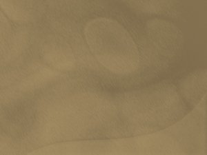 电子产品市场消费对比：苹果与安卓生态选择